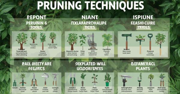 When to Prune