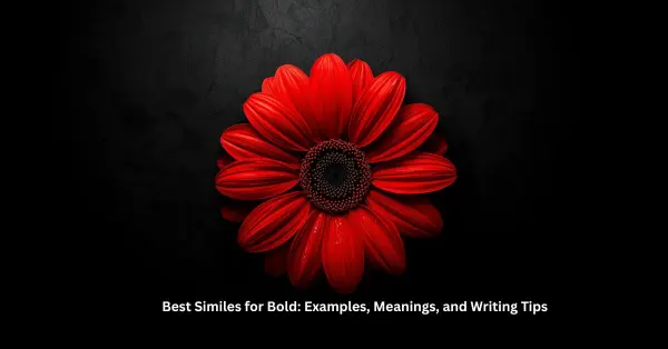 Best Similes for Bold: Examples, Meanings, and Writing Tips